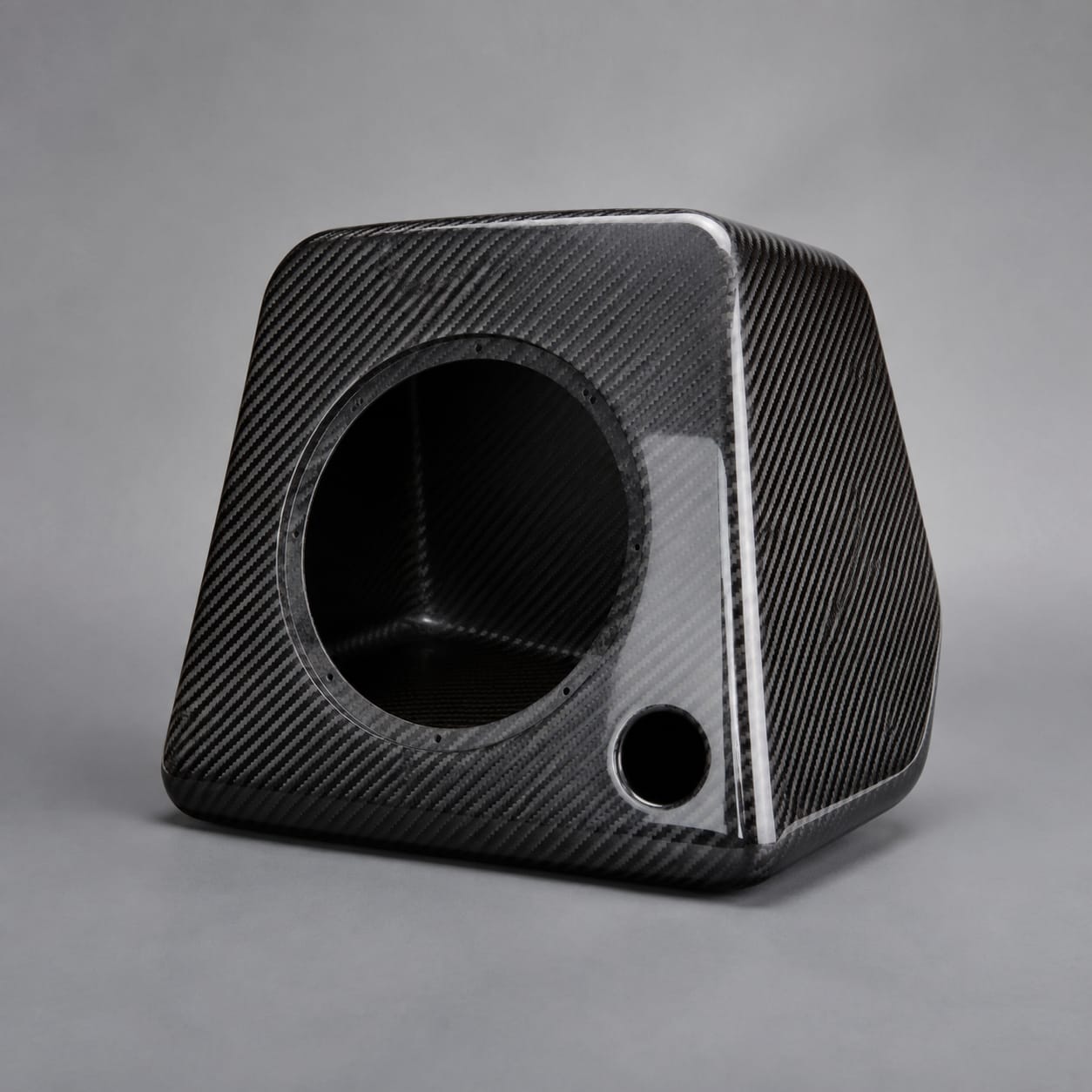 Carbon Fiber Speaker Enclosure
